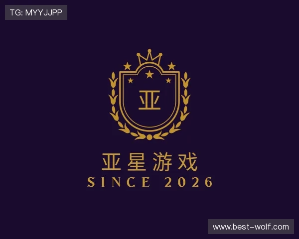 介绍亚星游戏